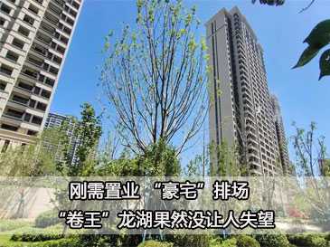 刚需置业 “豪宅”排场 “卷王”龙湖果然没让人失望 