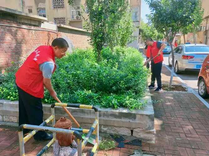 创卫在行动 城市增气质 我市创建国家卫生城市进行时