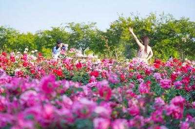 窦大夫祠 净因寺 多福寺 5月19日这三家景区免门票 
