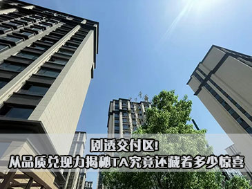 剧透交付区! 从品质兑现力揭秘TA究竟还藏着多少惊喜 