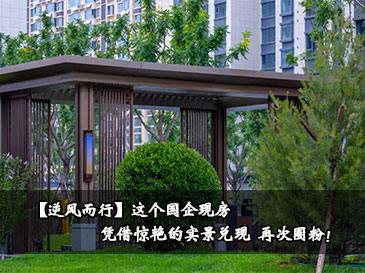 【逆风而行】这个国企现房 凭借惊艳的实景兑现 再次圈粉! 