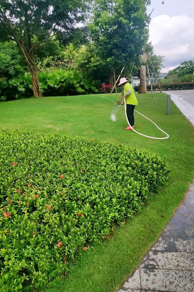 范兆森调研督导城市绿化养护和缓堵保畅工作